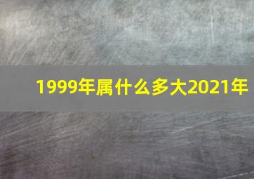 1999年属什么多大2021年