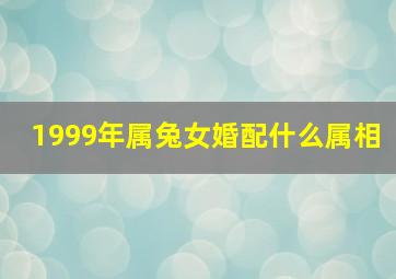 1999年属兔女婚配什么属相