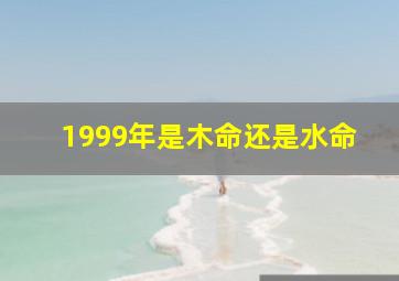 1999年是木命还是水命