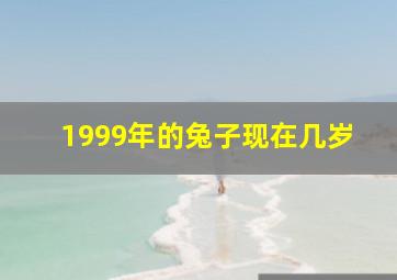 1999年的兔子现在几岁