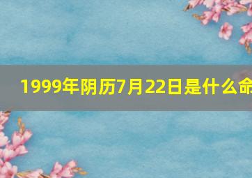 1999年阴历7月22日是什么命