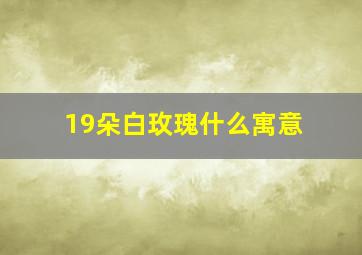 19朵白玫瑰什么寓意