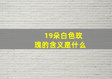 19朵白色玫瑰的含义是什么