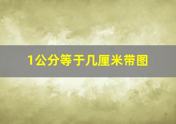 1公分等于几厘米带图