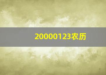 20000123农历