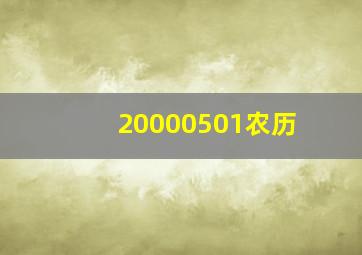 20000501农历