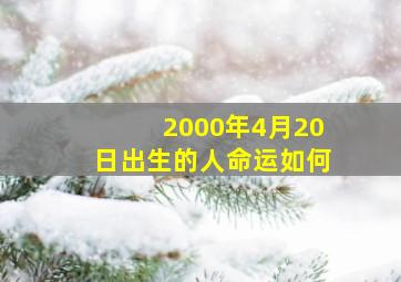 2000年4月20日出生的人命运如何