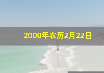 2000年农历2月22日