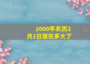 2000年农历2月2日现在多大了