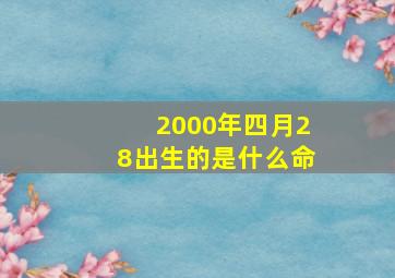 2000年四月28出生的是什么命