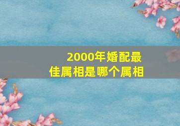 2000年婚配最佳属相是哪个属相