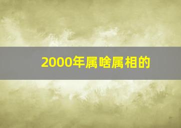 2000年属啥属相的