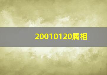 20010120属相