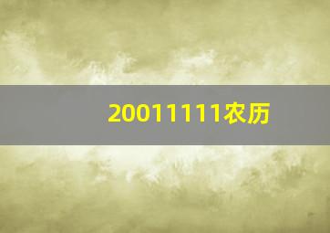 20011111农历