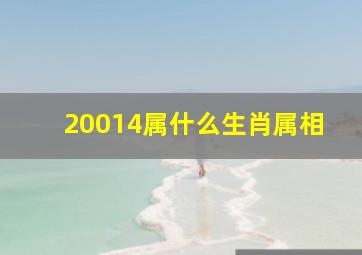 20014属什么生肖属相