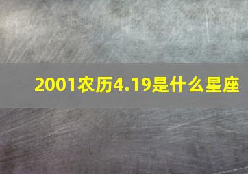 2001农历4.19是什么星座