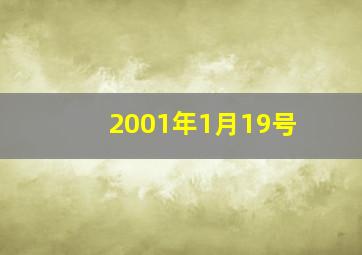 2001年1月19号