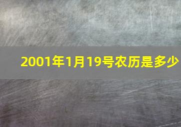 2001年1月19号农历是多少