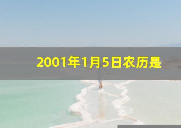 2001年1月5日农历是