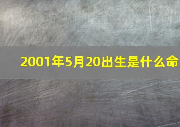 2001年5月20出生是什么命