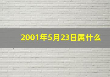 2001年5月23日属什么