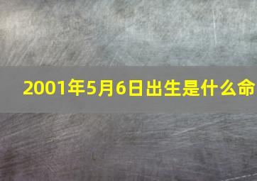 2001年5月6日出生是什么命