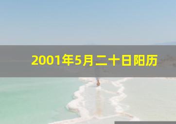 2001年5月二十日阳历