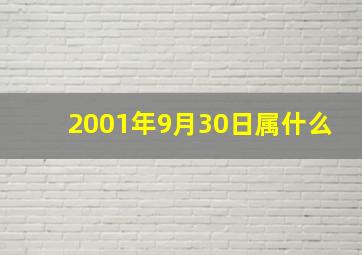 2001年9月30日属什么