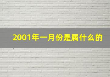 2001年一月份是属什么的