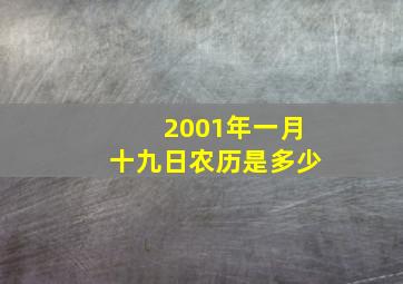 2001年一月十九日农历是多少