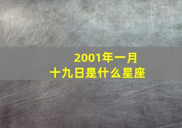 2001年一月十九日是什么星座