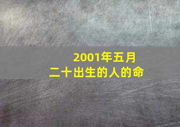 2001年五月二十出生的人的命