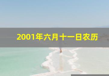 2001年六月十一日农历