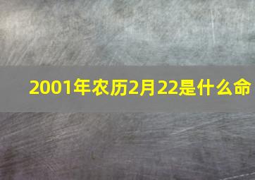 2001年农历2月22是什么命