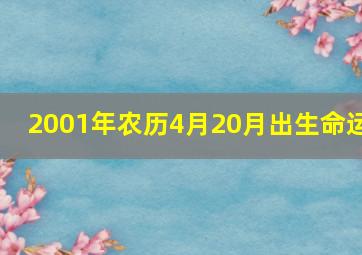 2001年农历4月20月出生命运