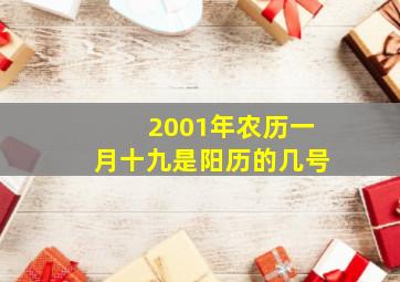 2001年农历一月十九是阳历的几号