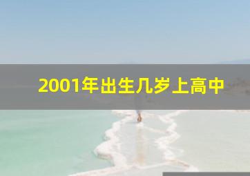 2001年出生几岁上高中