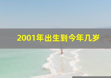 2001年出生到今年几岁