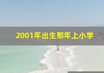 2001年出生那年上小学