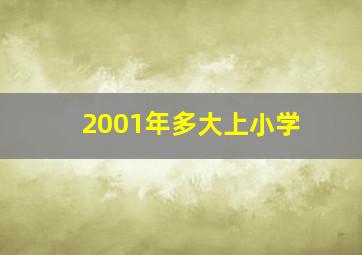 2001年多大上小学