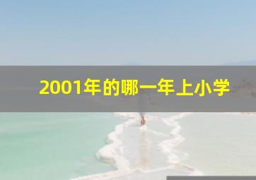 2001年的哪一年上小学