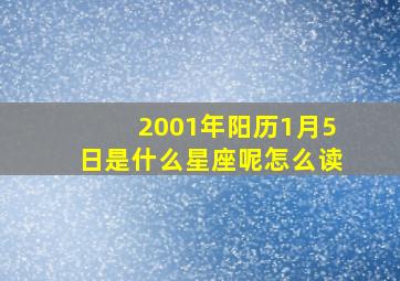 2001年阳历1月5日是什么星座呢怎么读