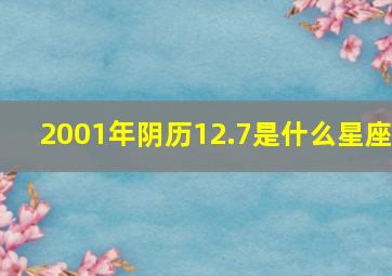 2001年阴历12.7是什么星座