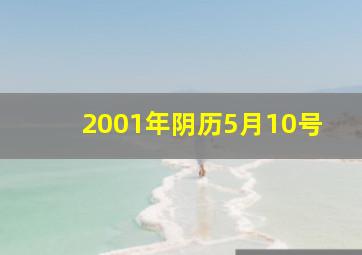 2001年阴历5月10号