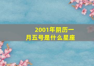 2001年阴历一月五号是什么星座