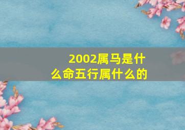 2002属马是什么命五行属什么的