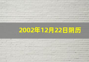 2002年12月22日阴历