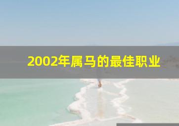 2002年属马的最佳职业