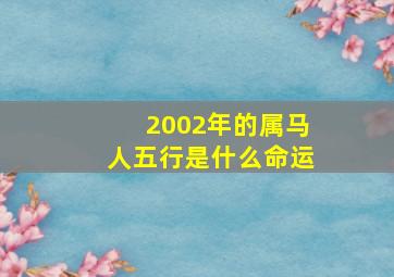 2002年的属马人五行是什么命运