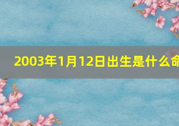 2003年1月12日出生是什么命